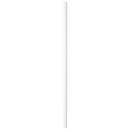 PAILLES DROITES Ø0,60X20 CM BLANC...