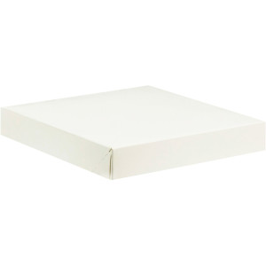 PAQUET 50 BOITES BLANC...