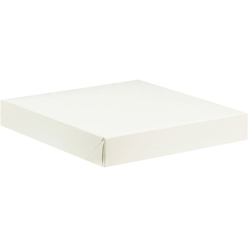 PAQUET 50 BOITES BLANC 160X160 HT50