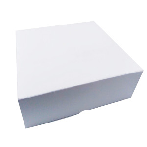 PAQUET 50 BOITES BLANC...