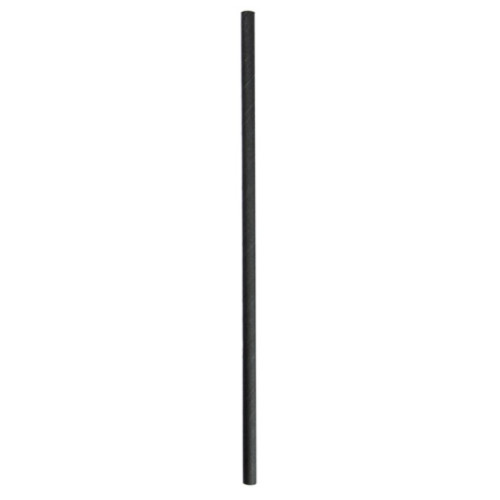PAILLES DROITES Ø0,60X20 CM NOIR...