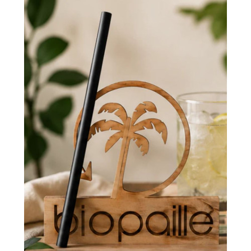 125 PAILLES BIODEGRADABLE NOIR...