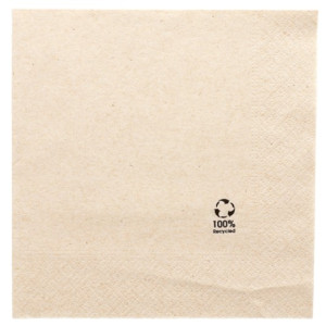 SERVIETTE ECOLABEL 2 PLIS...